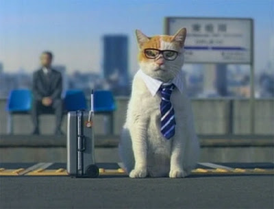 business_cat